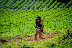 BIB: 
                            <button type="button" onclick="openModal(19162855)" class="btn btn-primary btn-sm float-right btn-popup" data-toggle="modal" data-target=".modal-high-quality">
                        <i class="fas fa-shopping-cart"></i> Add to Cart
                    </button>
                                            <button type="button" onclick="isThisMe(19162855, true)" class="btn btn-success btn-sm float-right btn-popup btn-isme hidden" data-toggle="tooltip" data-placement="bottom" title="นี่คือรูปของคุณใช่ไหม คลิกที่นี่เพื่อเอาเข้าอัลบั้ม">
                        <i class="fas fa-plus"></i> Add to album
                    </button>
                    <button type="button" onclick="isThisMe(19162855, false)" class="btn btn-warning btn-sm float-right btn-popup btn-isnotme hidden">
                        <i class="fas fa-ban"></i> Remove from album
                    </button>